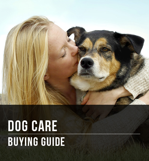 Dog Care Buying Guide at Menards®